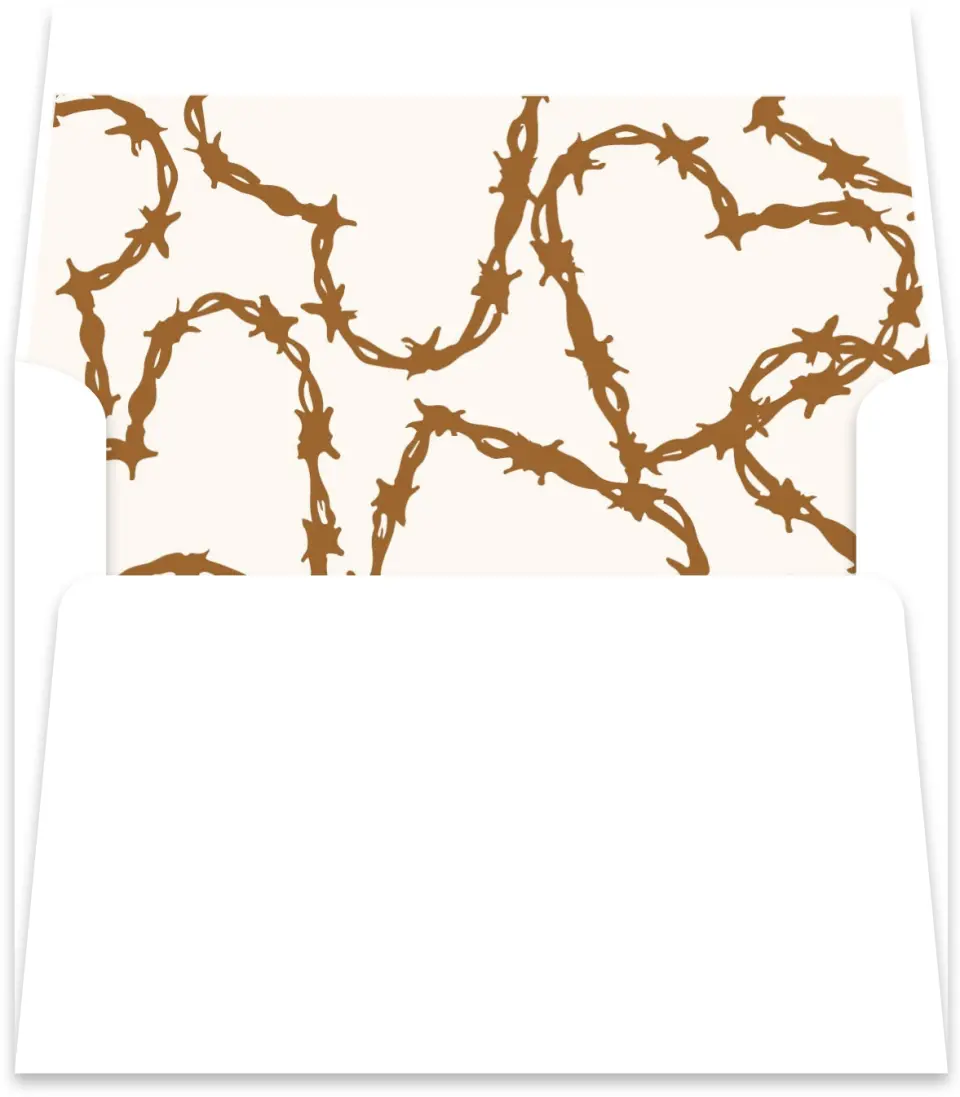 This is a  5½" x 5.9251" Envelope Liners (ELR) called Head Over Boots printed in full color