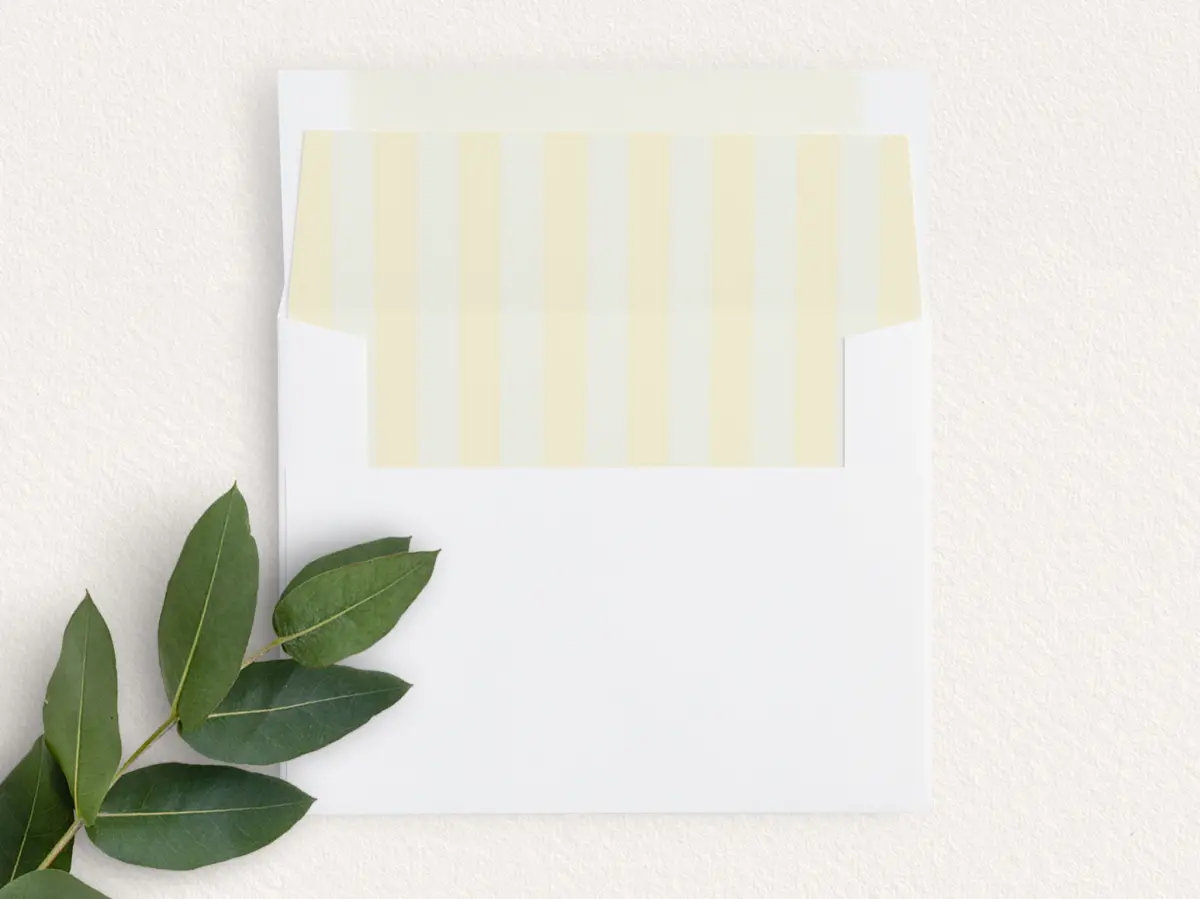 Envelope Liner