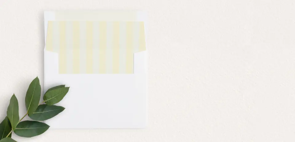 Envelope Liner