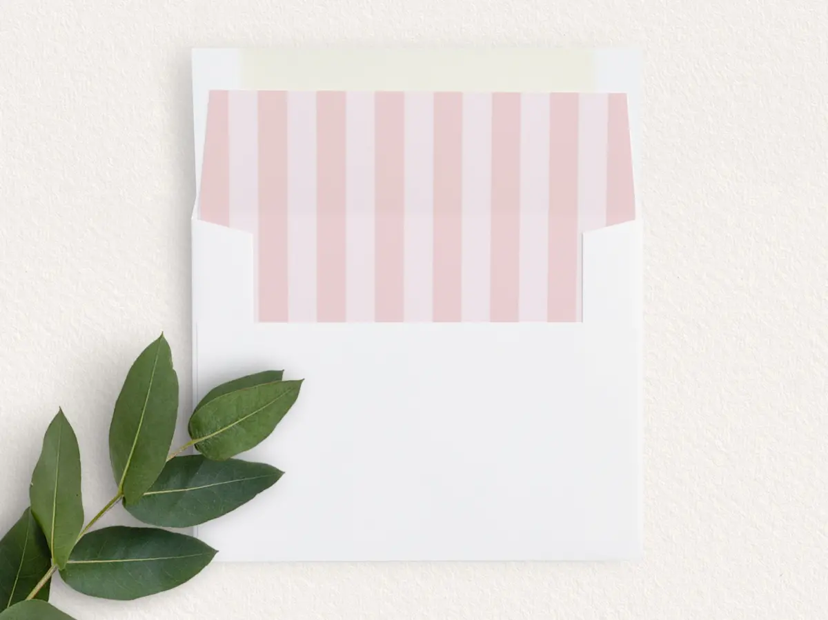 Envelope Liner