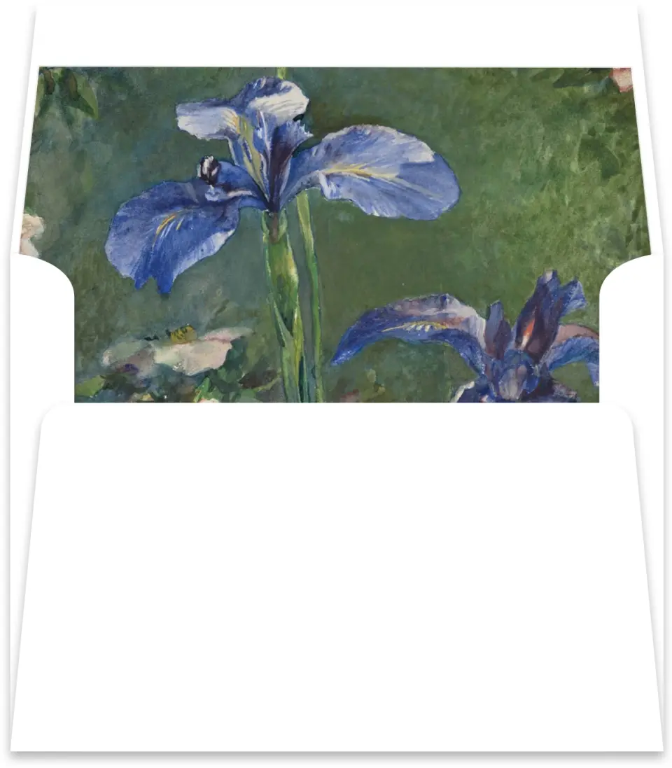 This is a  5½" x 5.9251" Envelope Liners (ELR) called The Addison printed in full color