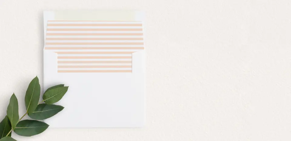 Envelope Liner