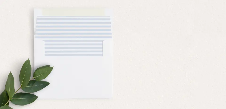 Envelope Liner
