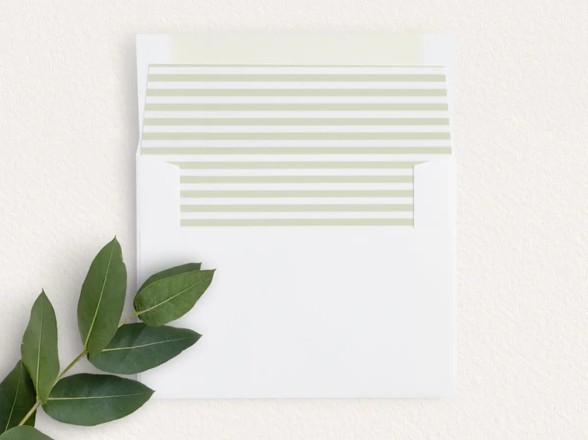 Envelope Liner