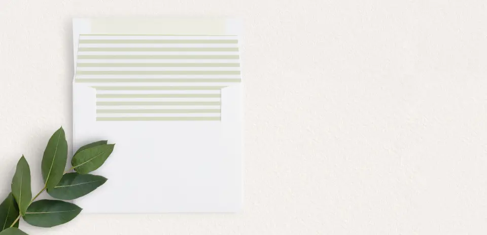 Envelope Liner