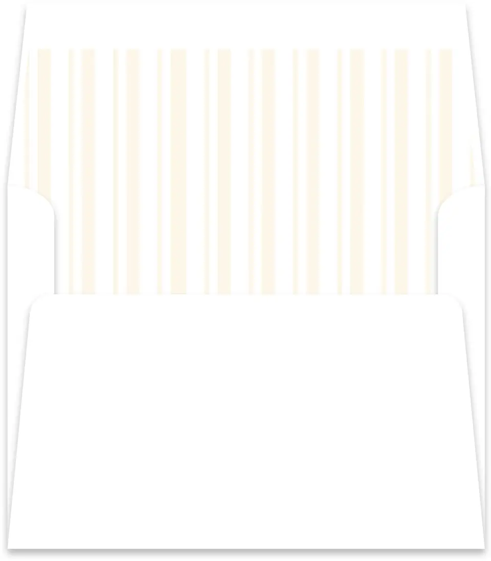 This is a  5½" x 5.9251" Envelope Liners (ELR) called The Georgia printed in full color