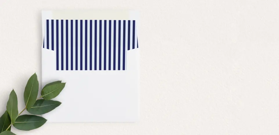 Envelope Liner