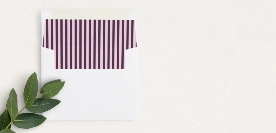 Envelope Liner