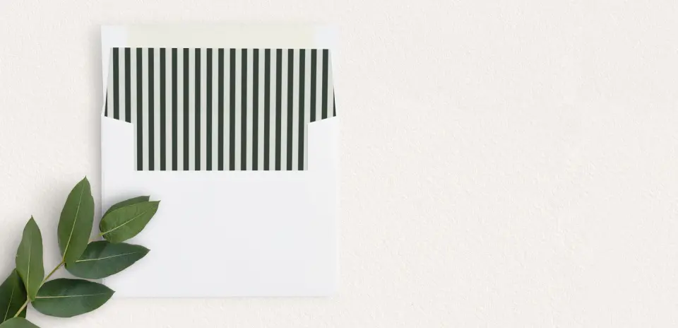 Envelope Liner