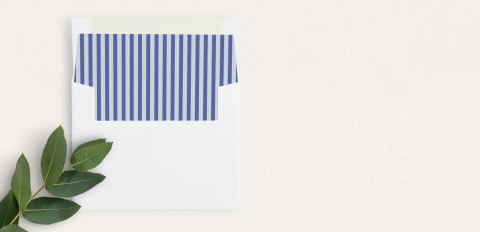 Envelope Liner