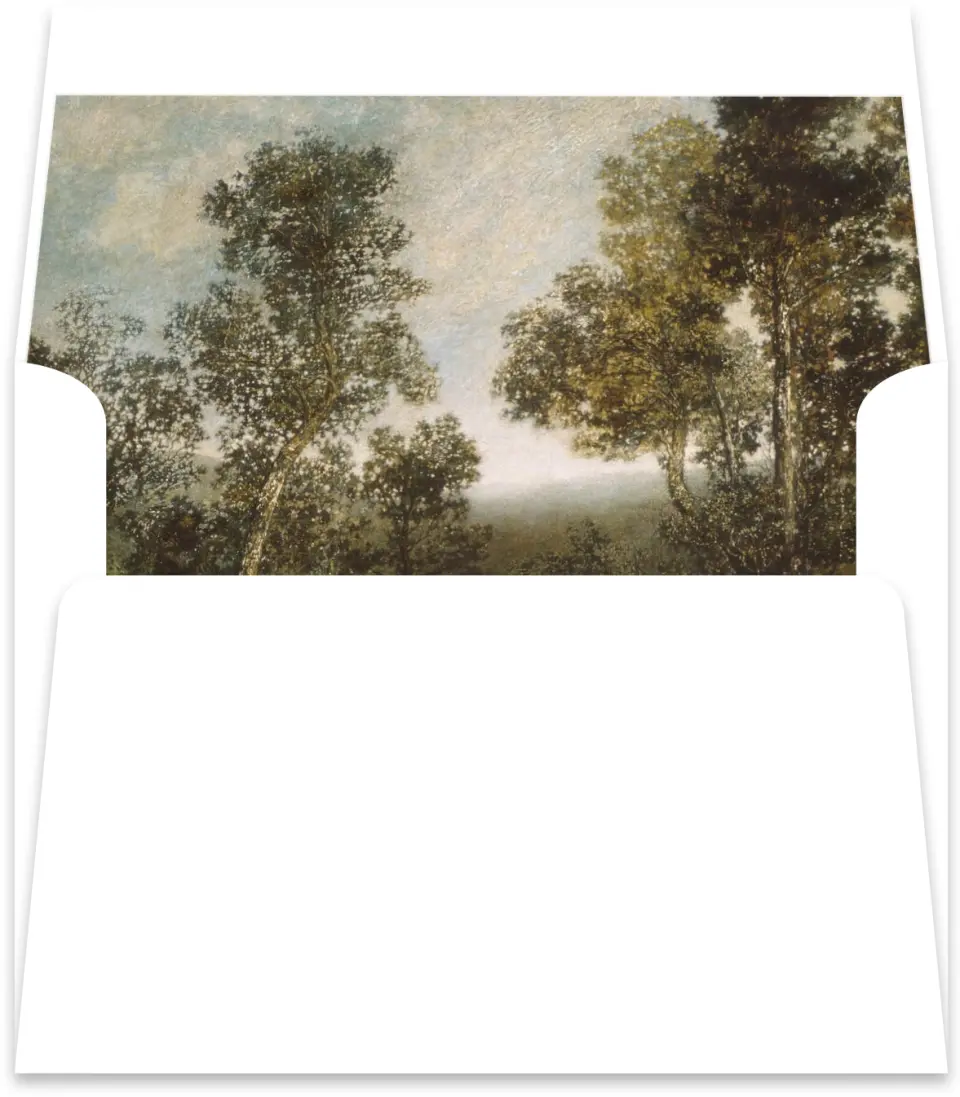 This is a Envelope Liners for 4.375 x 5.75 Card Envelope Liner called Holderness printed in full color