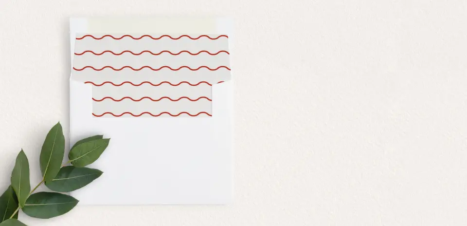 Envelope Liner