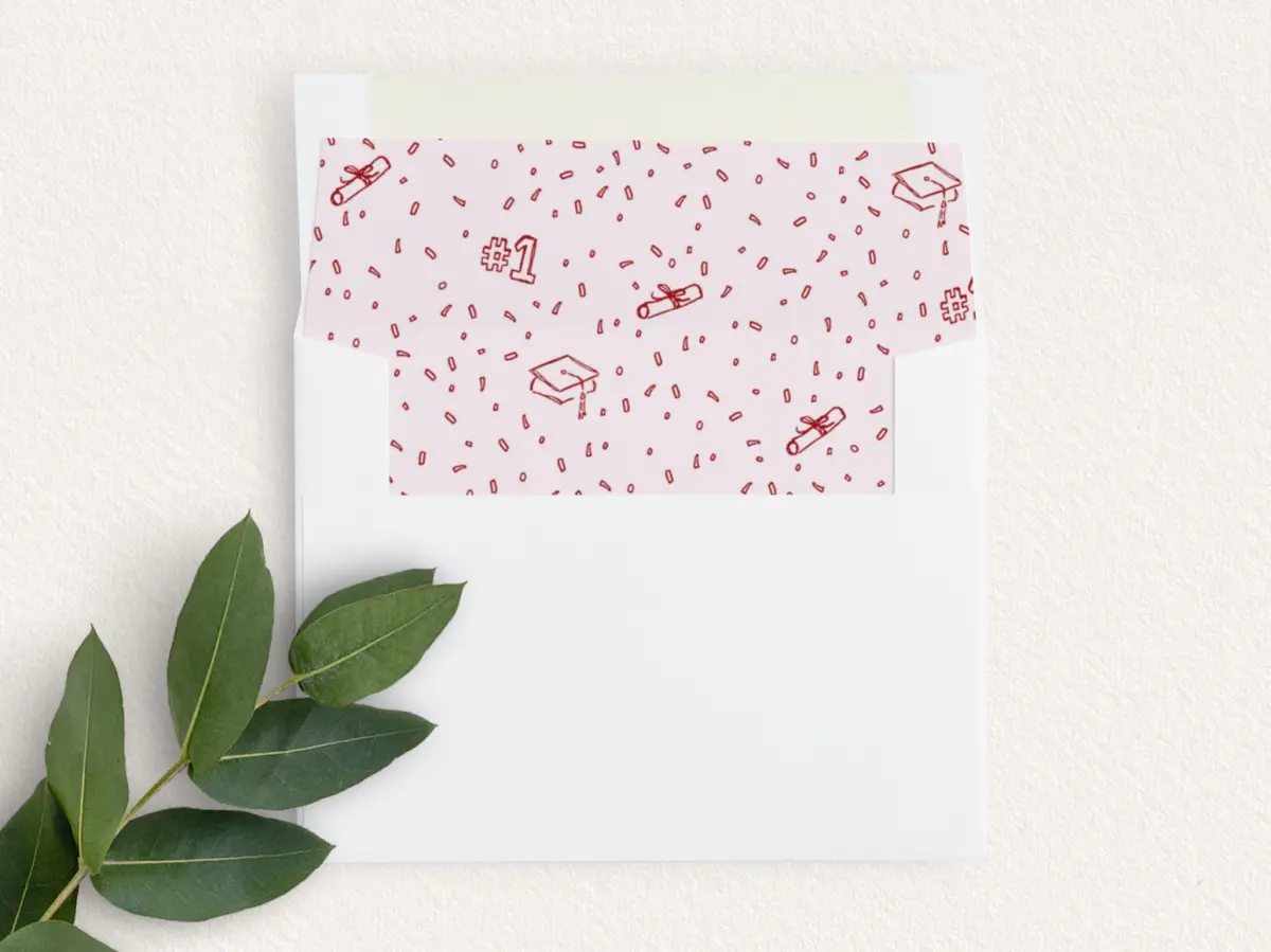Envelope Liner
