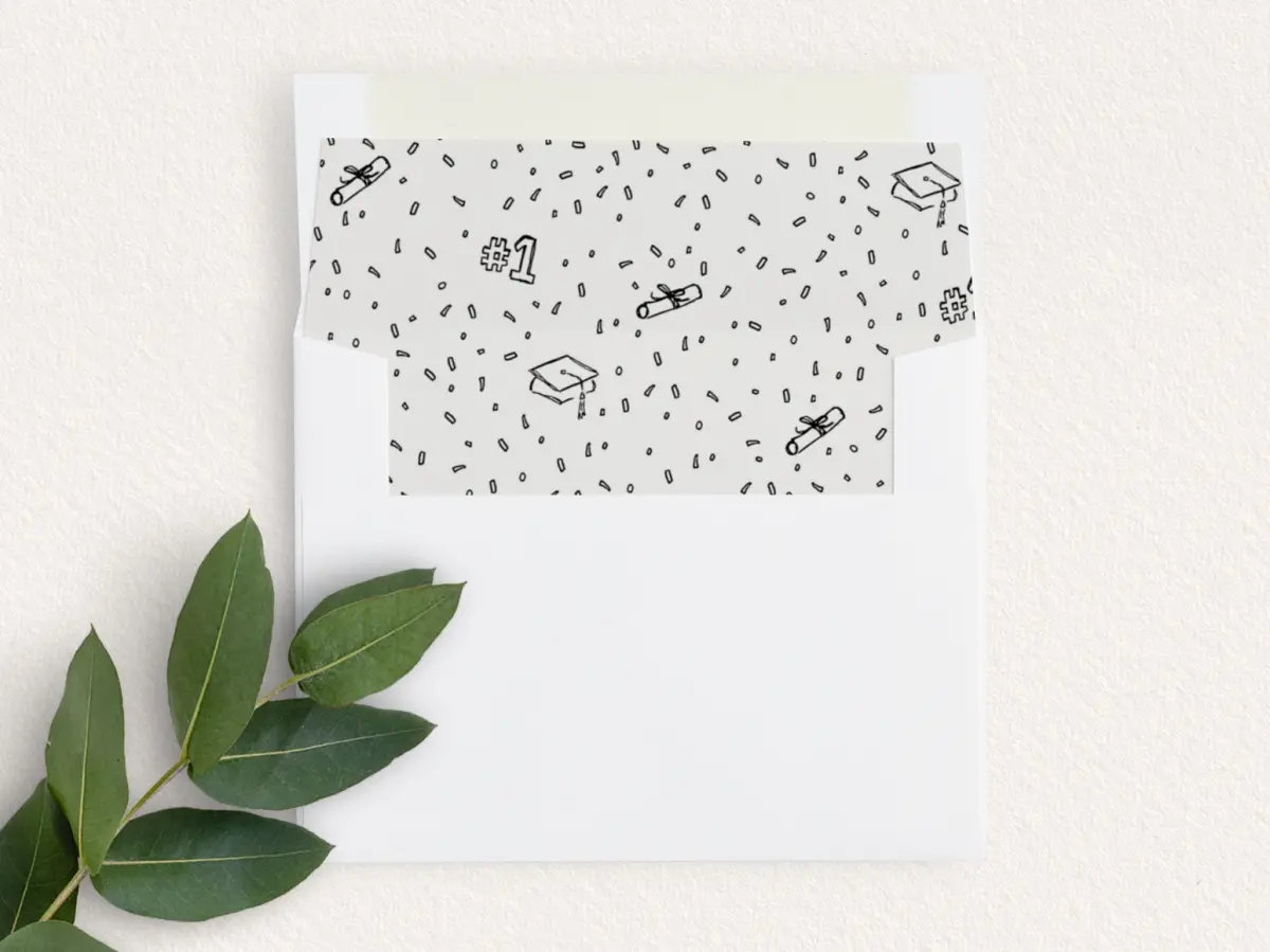 Envelope Liner