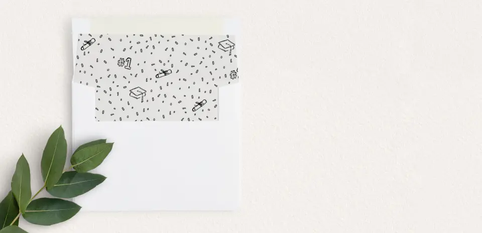 Envelope Liner