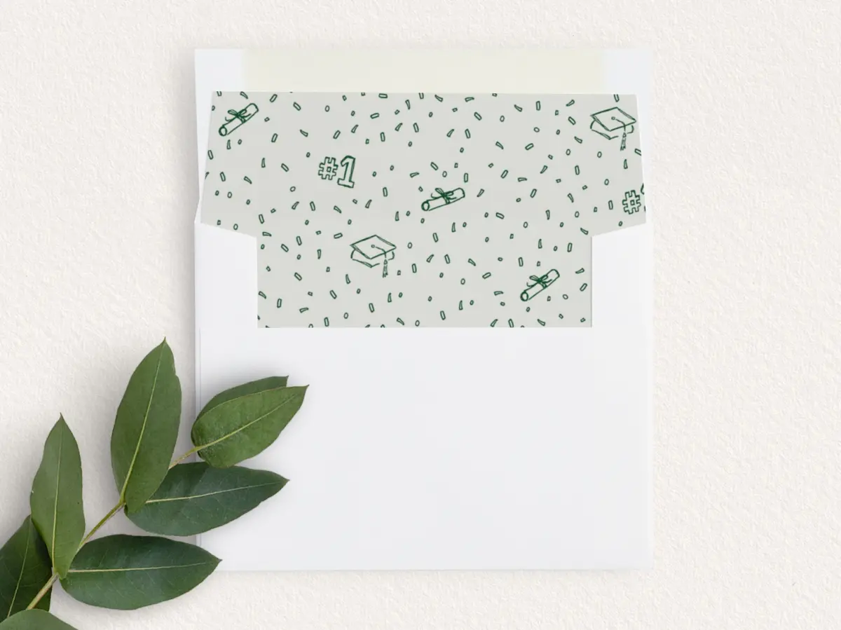 Envelope Liner