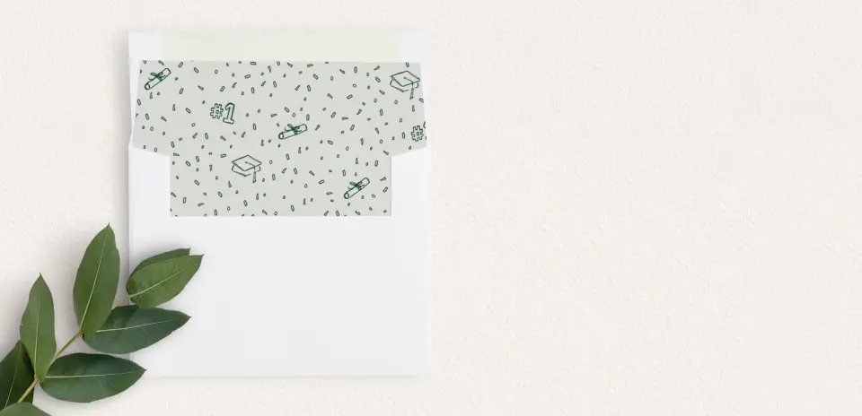 Envelope Liner