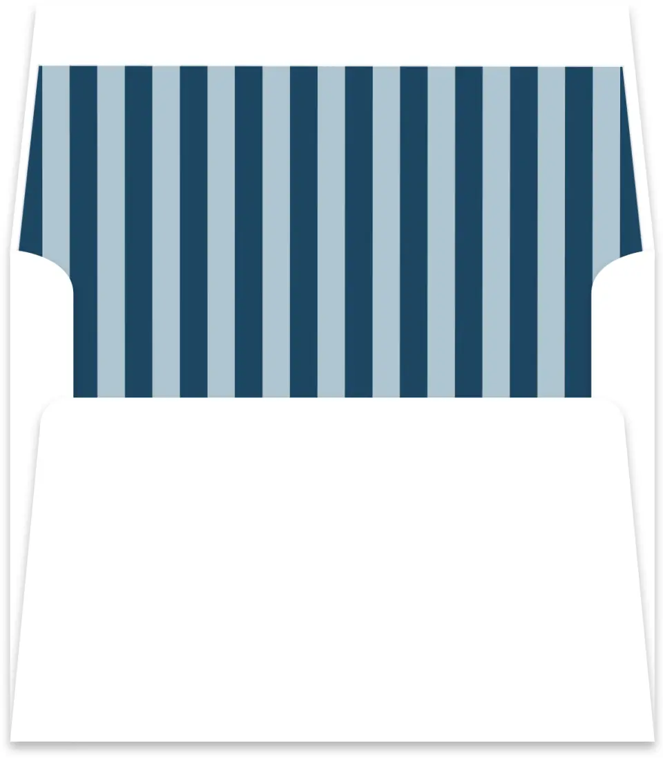 This is a  5½" x 5.9251" Envelope Liners (ELR) called Scholarly Stripes printed in full color