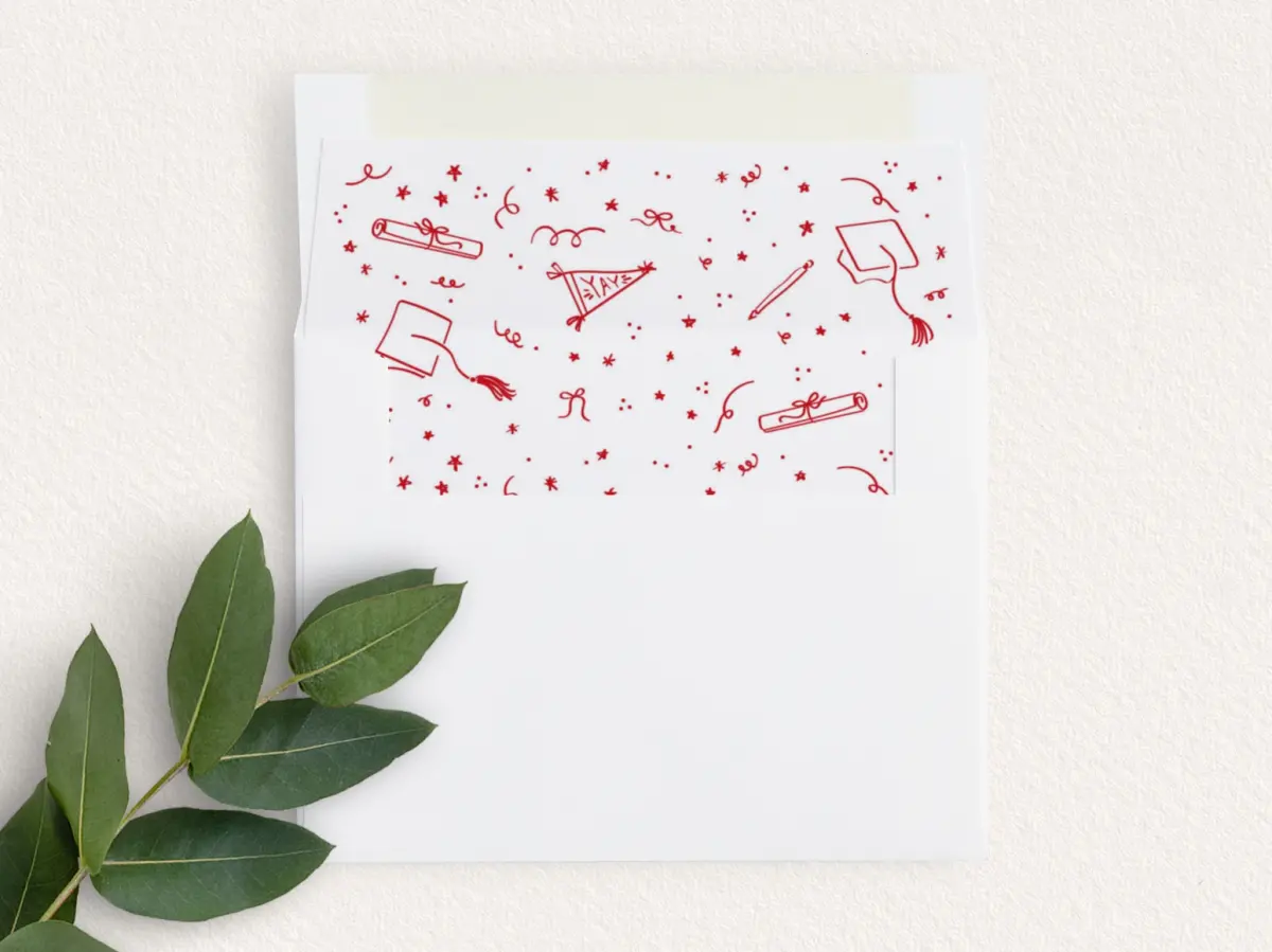 Envelope Liner