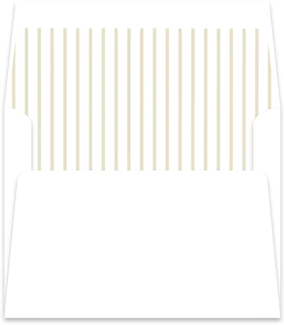 This is a  5½" x 5.9251" Envelope Liners (ELR) called Forever Framed printed in full color