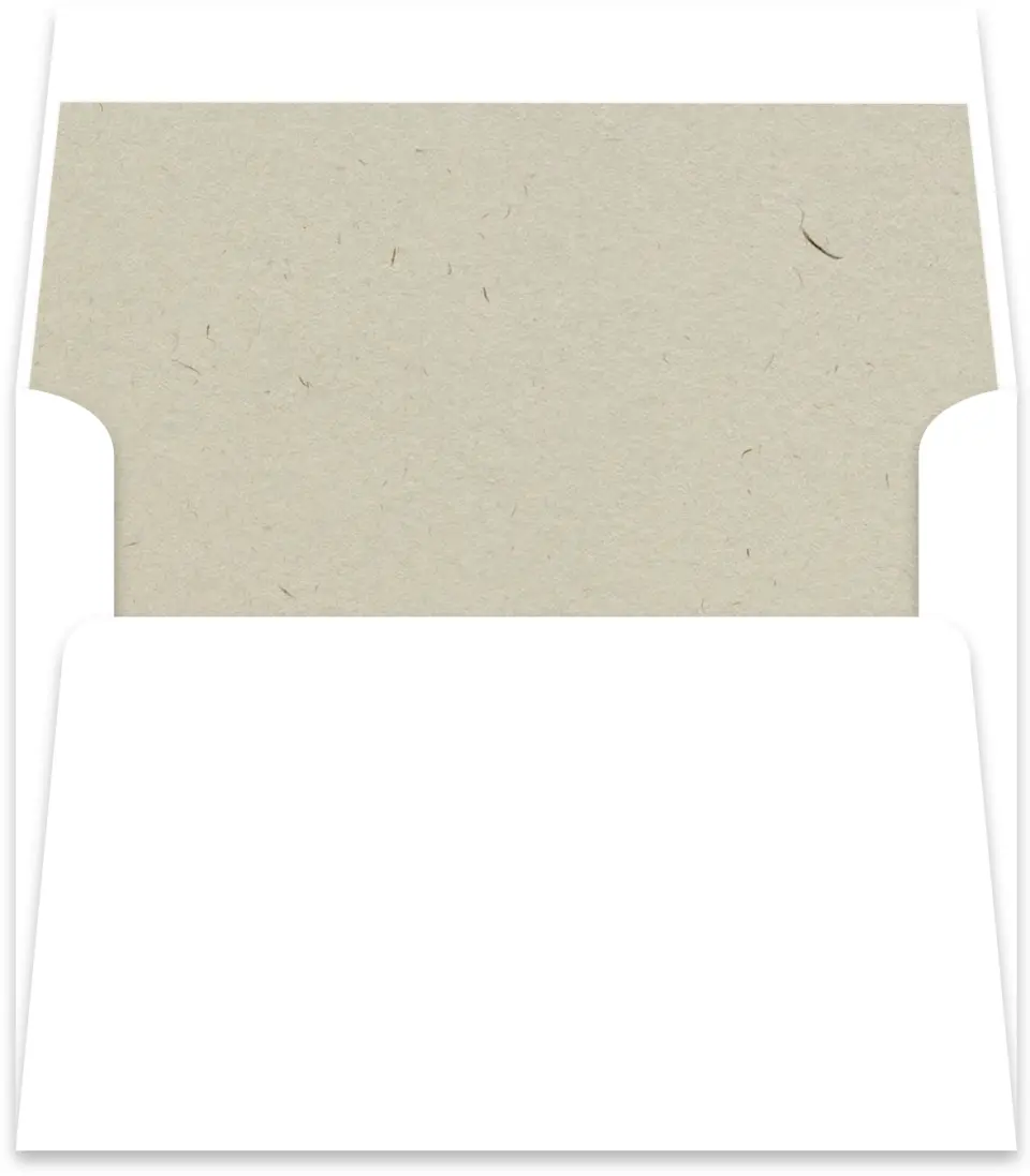 This is a  5½" x 5.9251" Envelope Liners (ELR) called The Wedding Post printed in full color