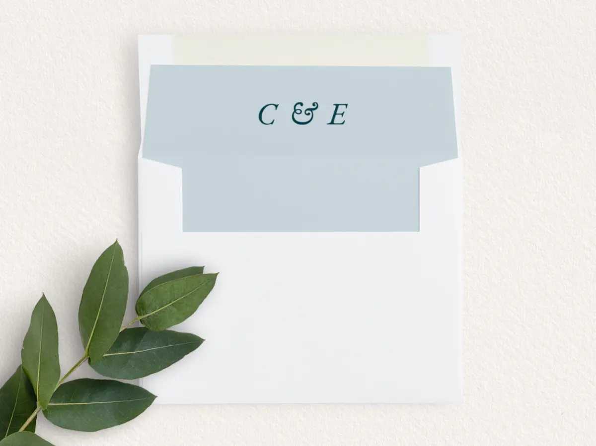 Envelope Liner