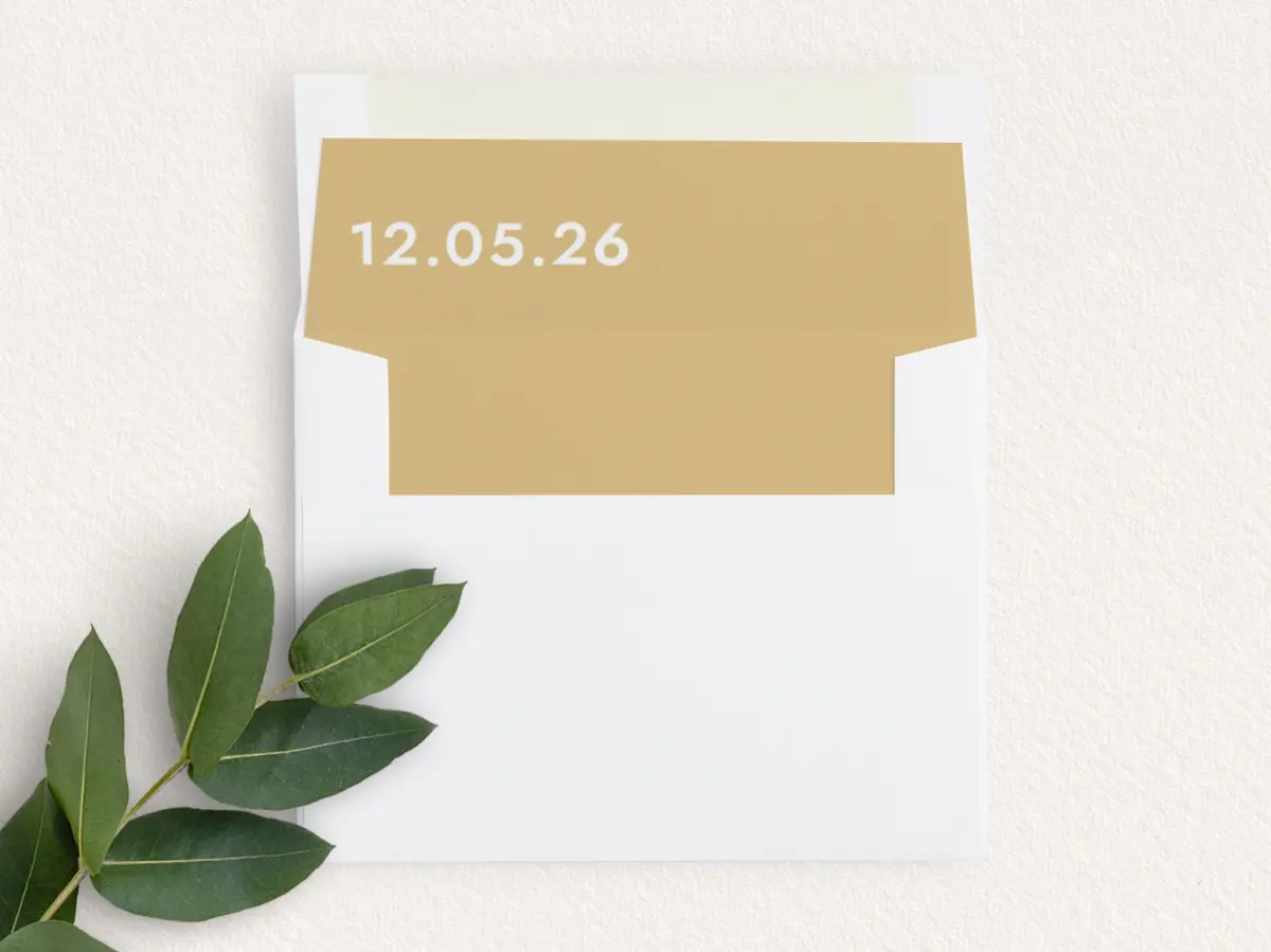Envelope Liner
