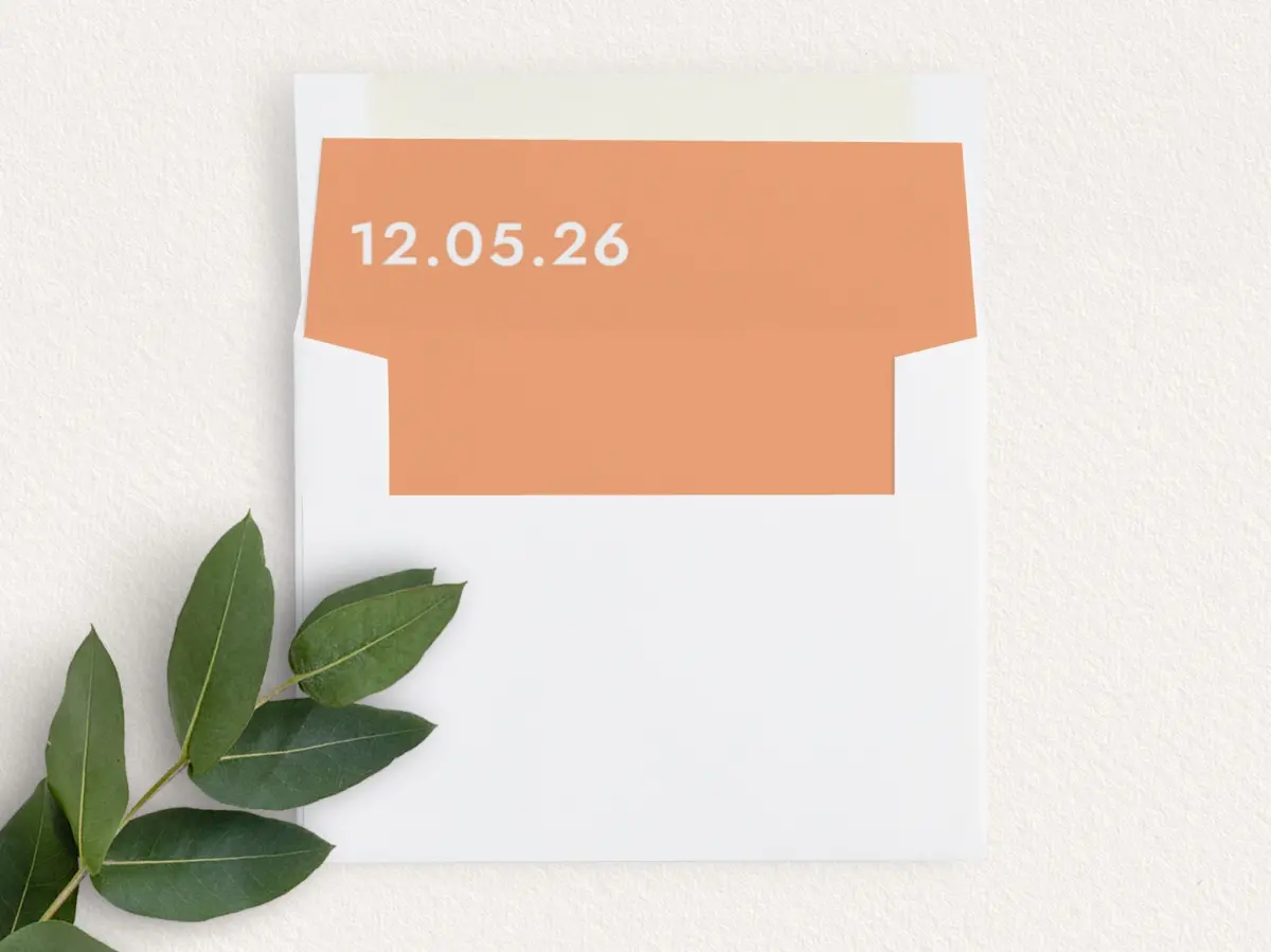 Envelope Liner