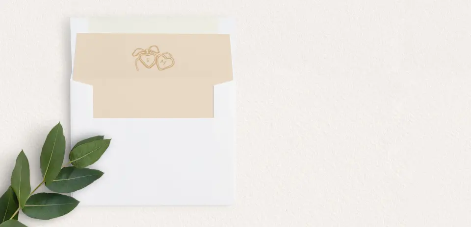 Envelope Liner