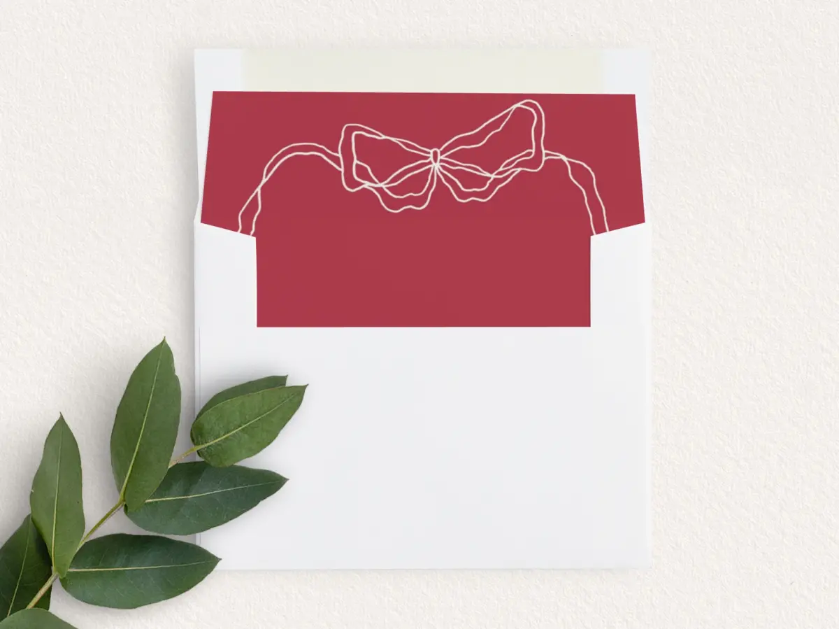Envelope Liner