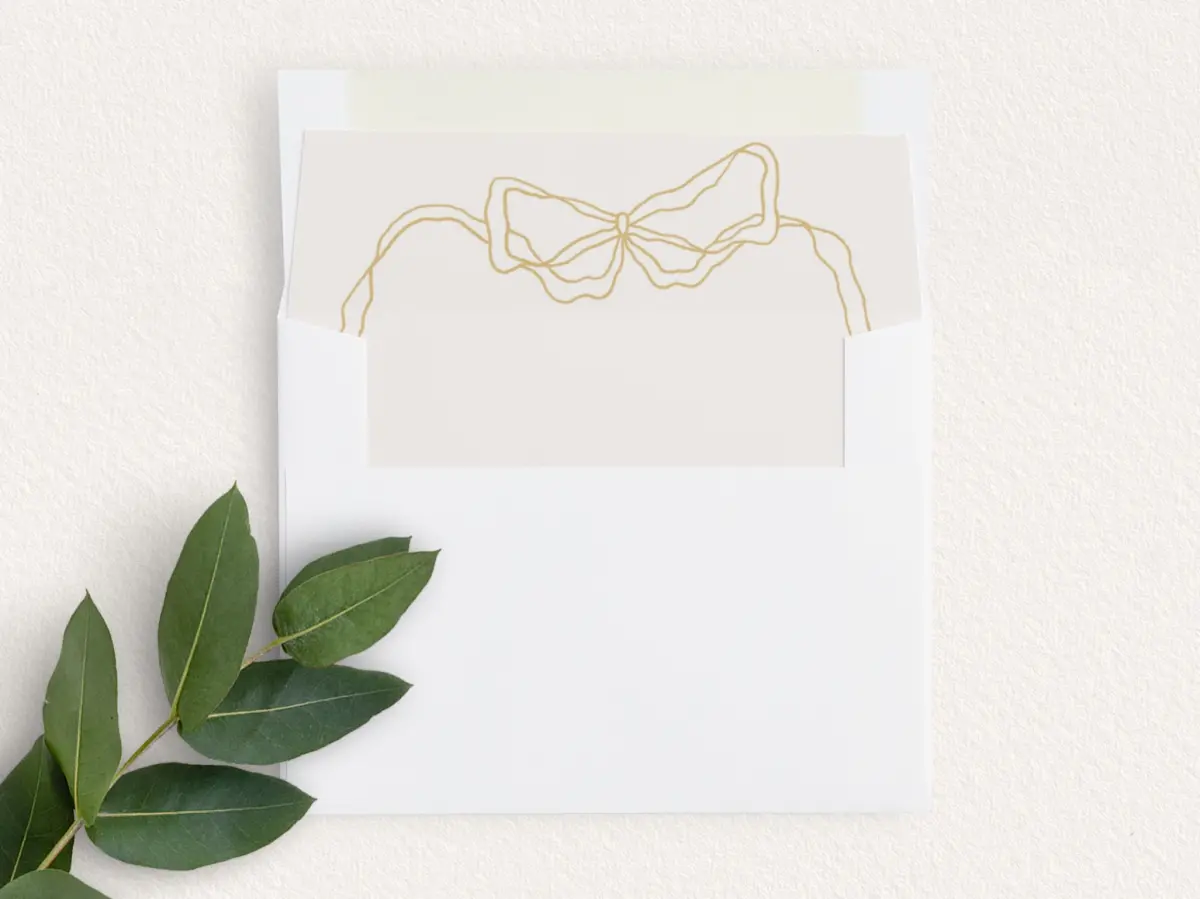 Envelope Liner