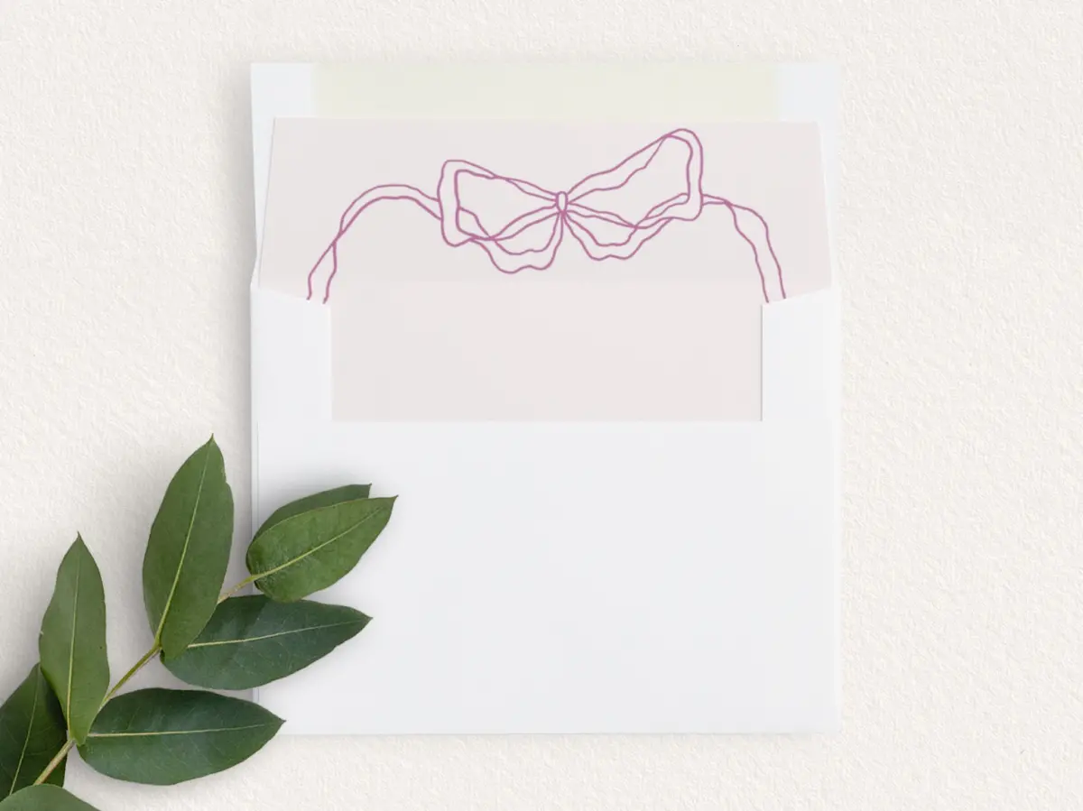 Envelope Liner
