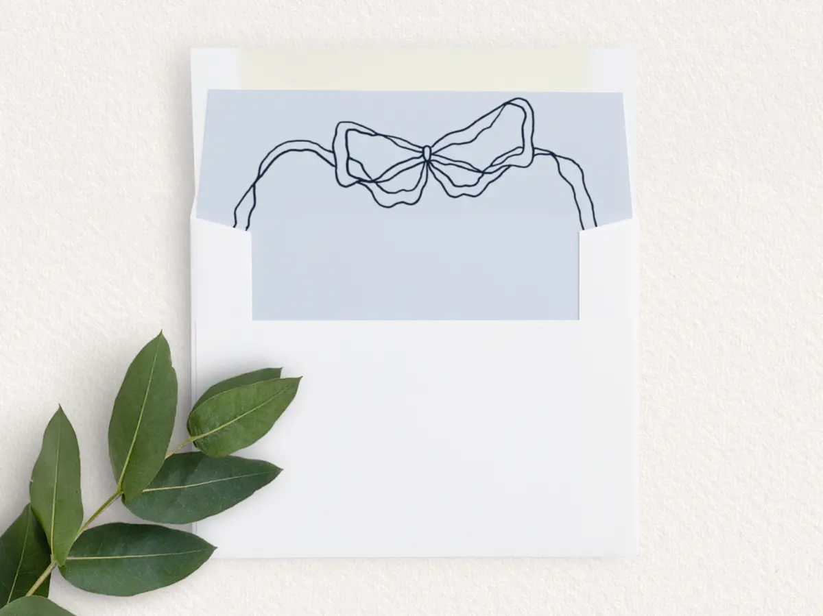 Envelope Liner