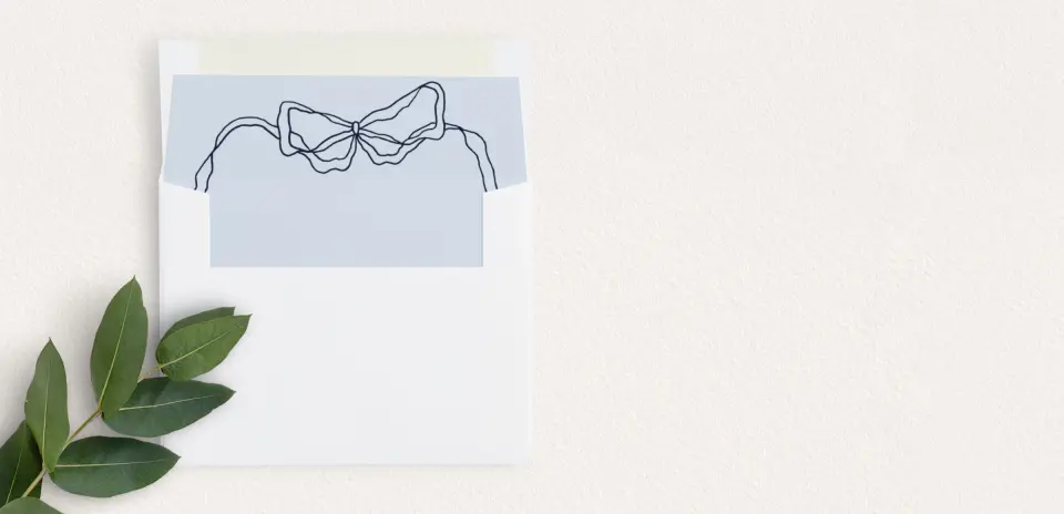 Envelope Liner