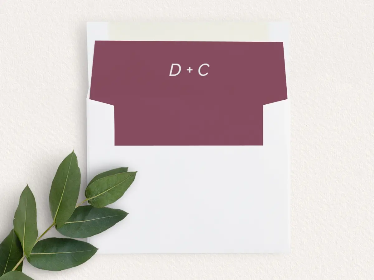 Envelope Liner