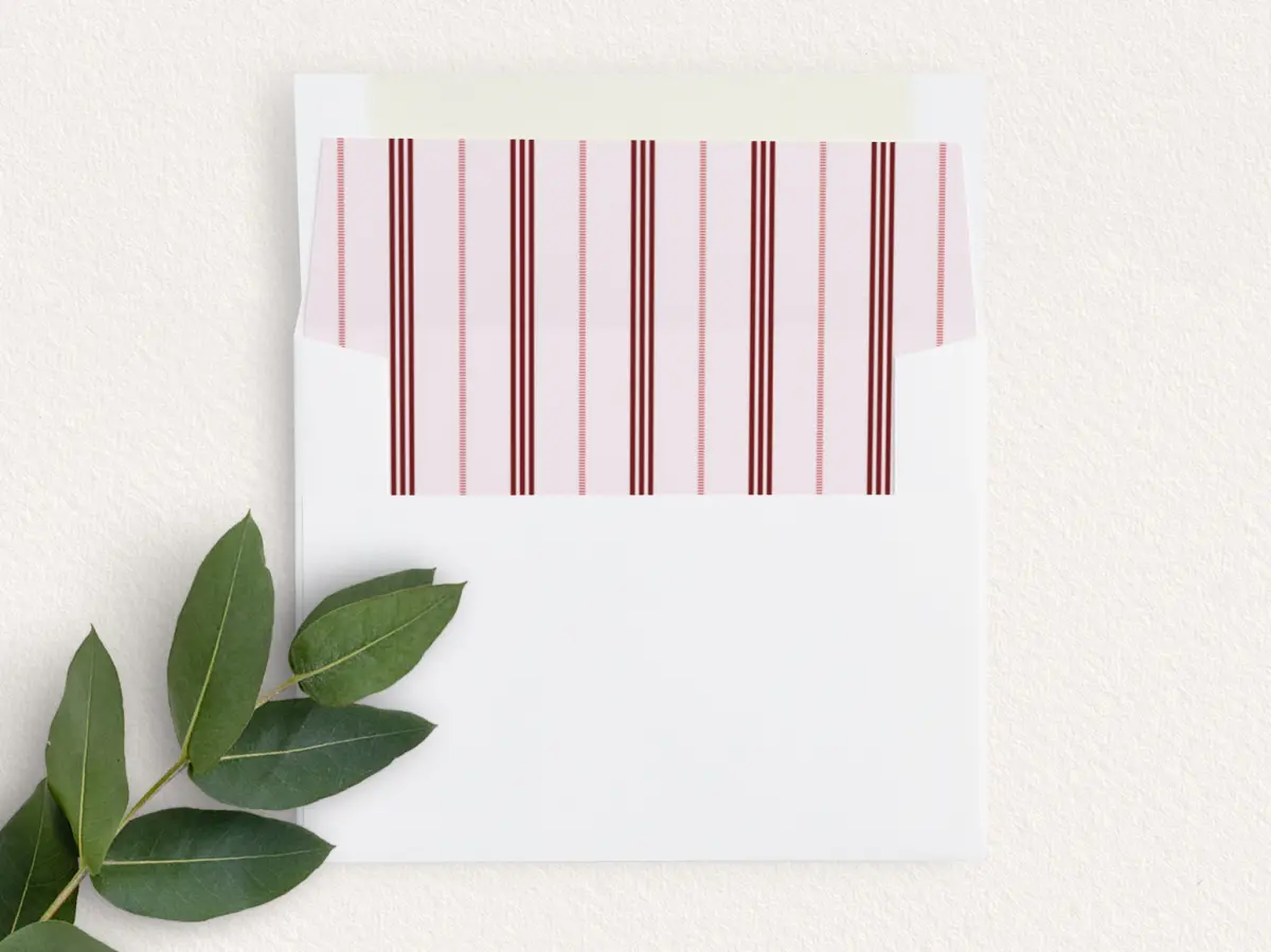Envelope Liner