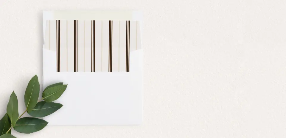 Envelope Liner