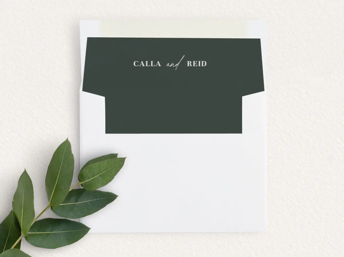 Envelope Liner