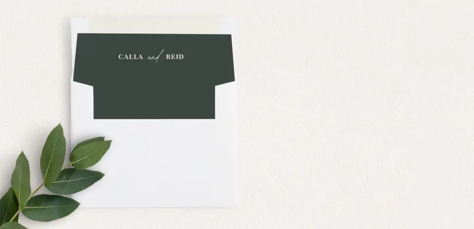 Envelope Liner
