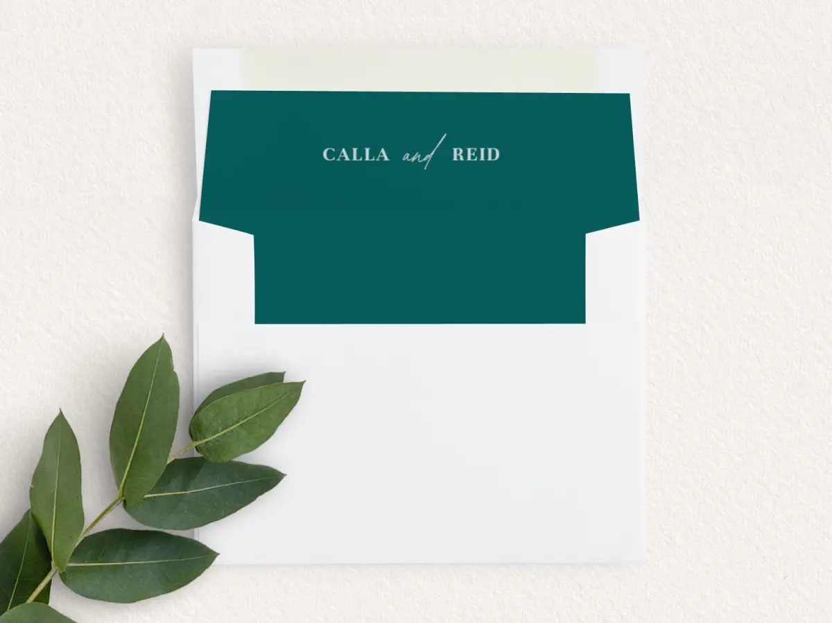 Envelope Liner