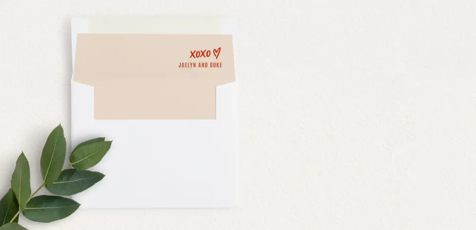 Envelope Liner