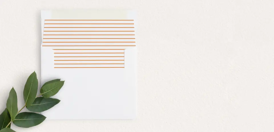 Envelope Liner