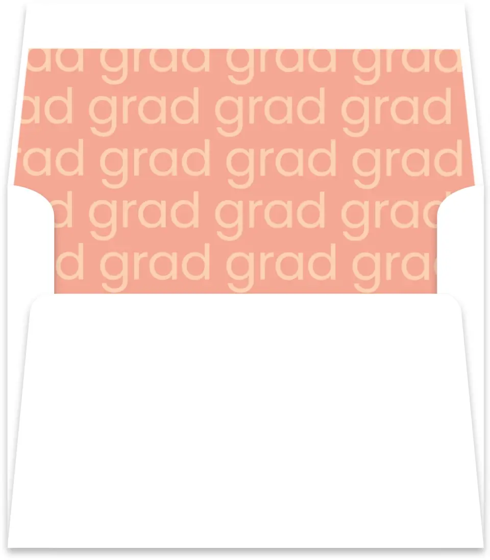 This is a  5½" x 5.9251" Envelope Liners (ELR) called Sans Serif Grad printed in full color