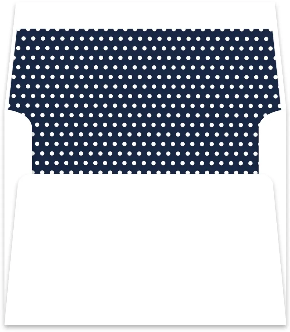 This is a  5½" x 5.9251" Envelope Liners (ELR) called Minimal Dot Grad printed in full color