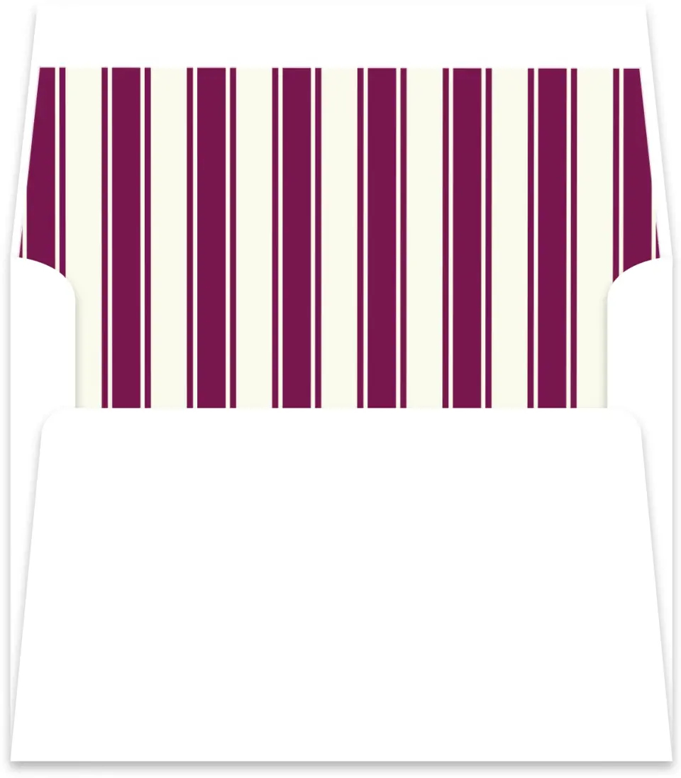This is a  5½" x 5.9251" Envelope Liners (ELR) called Academic Stripes printed in full color