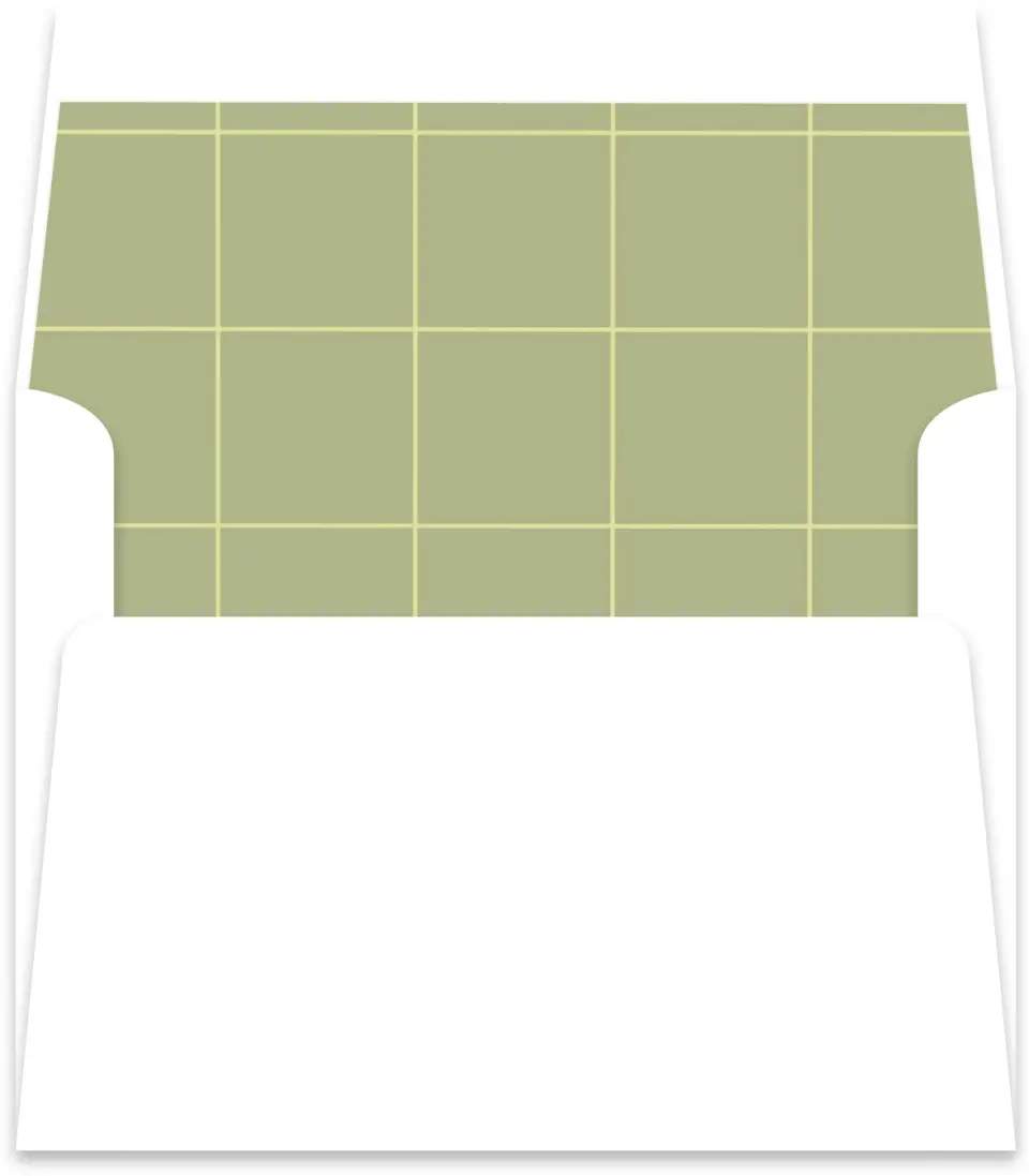 This is a  5½" x 5.9251" Envelope Liners (ELR) called Square Grad printed in full color