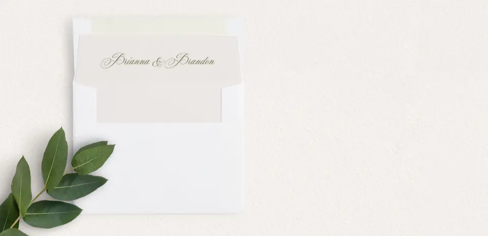 Envelope Liner