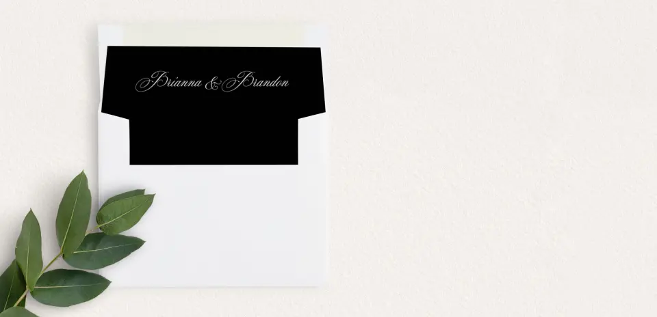Envelope Liner