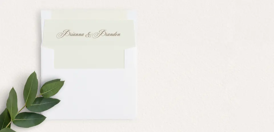 Envelope Liner
