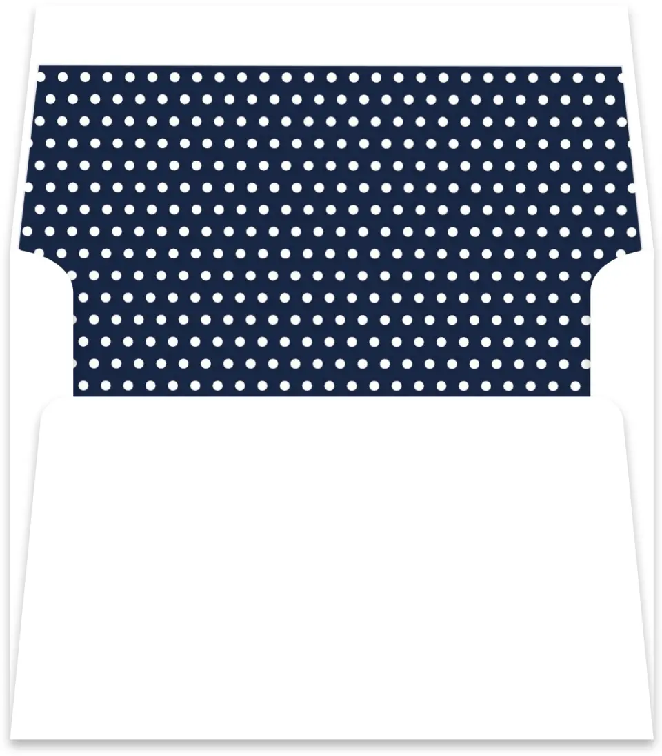 This is a Envelope Liners for 4.375 x 5.75 Card Envelope Liner called Minimal Dot printed in full color
